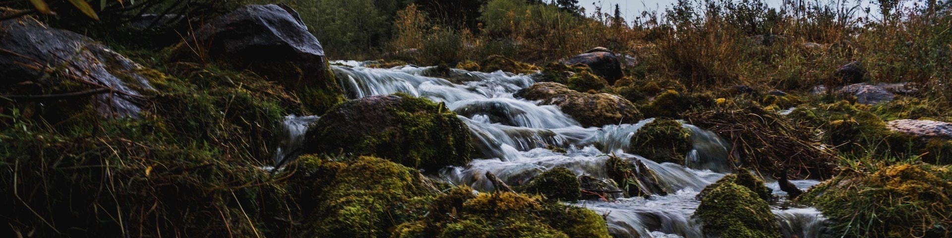 Spot along the Logan river in Logan canyon