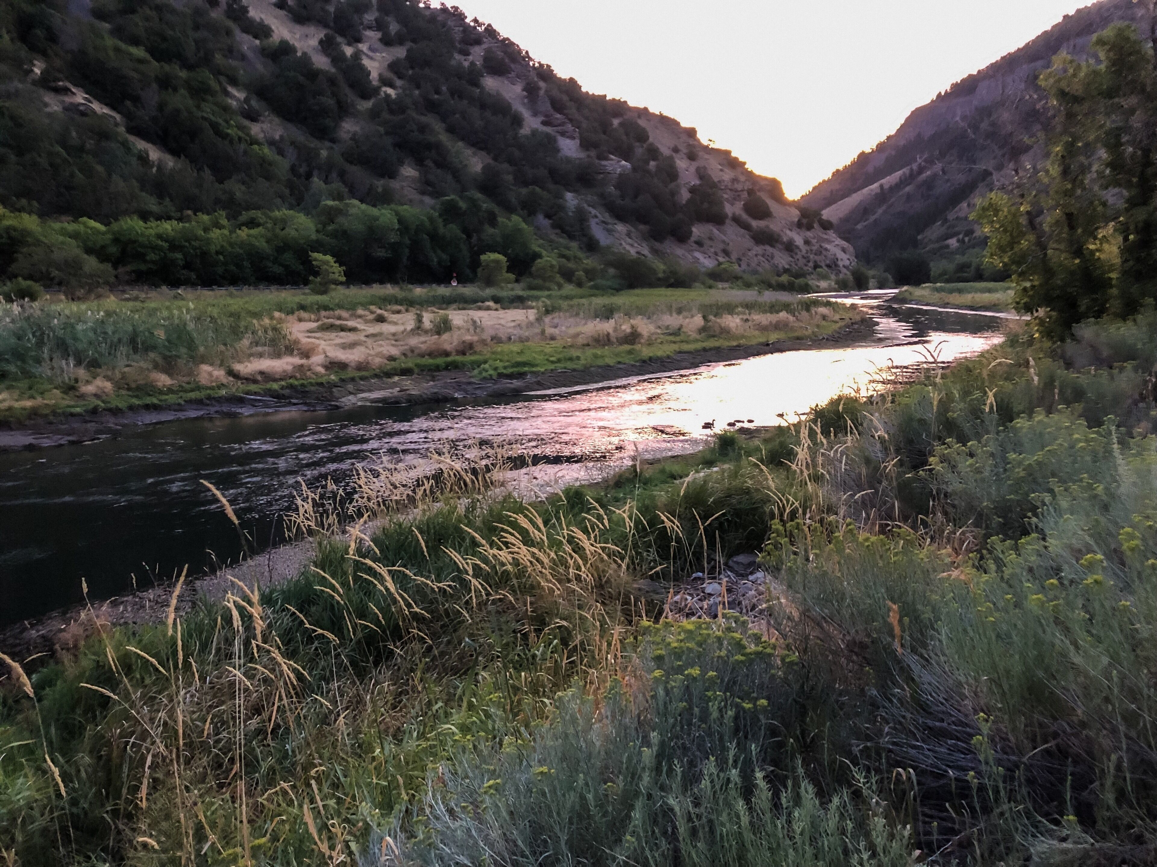Early morning trail run to catch the sunrise up Logan Canyon! #adventure #sunrise #Logan