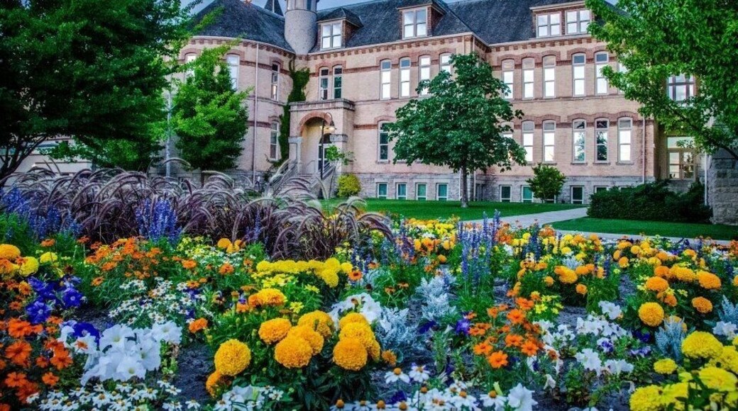 Beautiful University