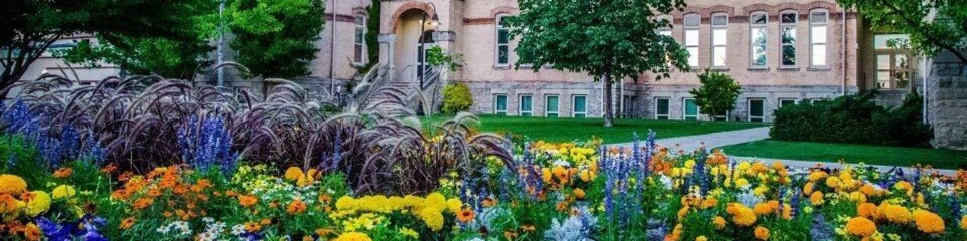 Beautiful University