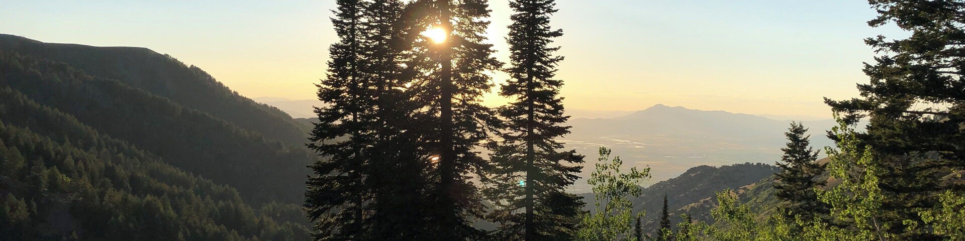 The setting sun on the way up to Logan peak. #hiking #nature #adventure #utah