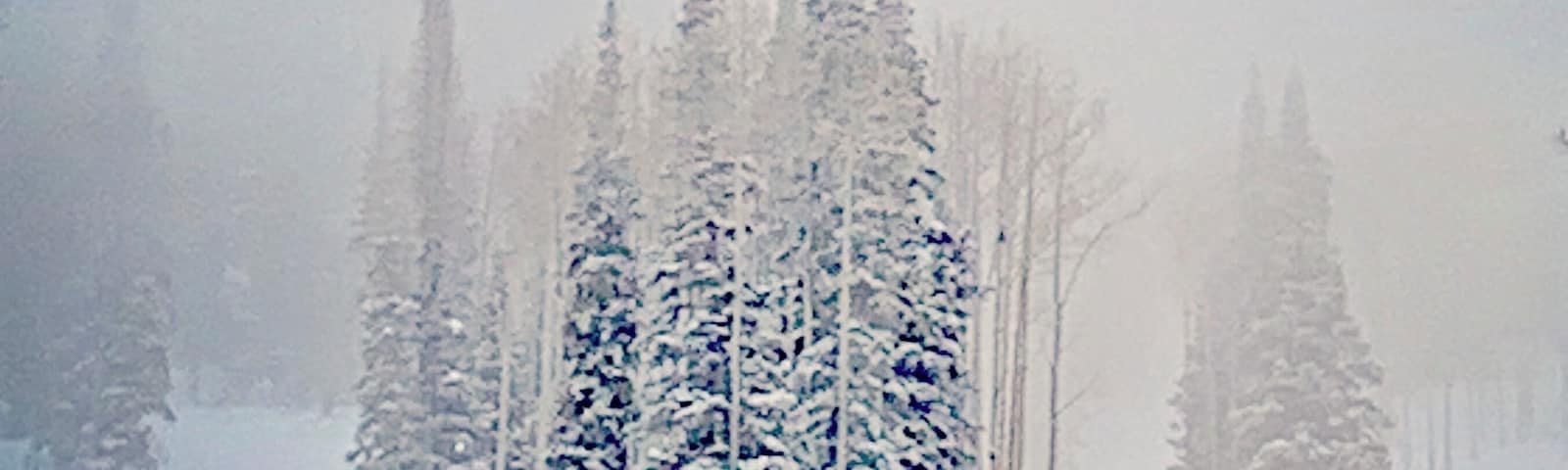 I’ve heard Utah has the driest snow on earth. Maybe so, but if not, its undeniably pretty.