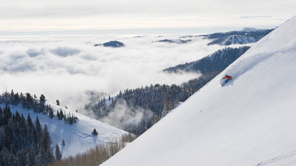 Canyons Resort featuring snow skiing, tranquil scenes and snow