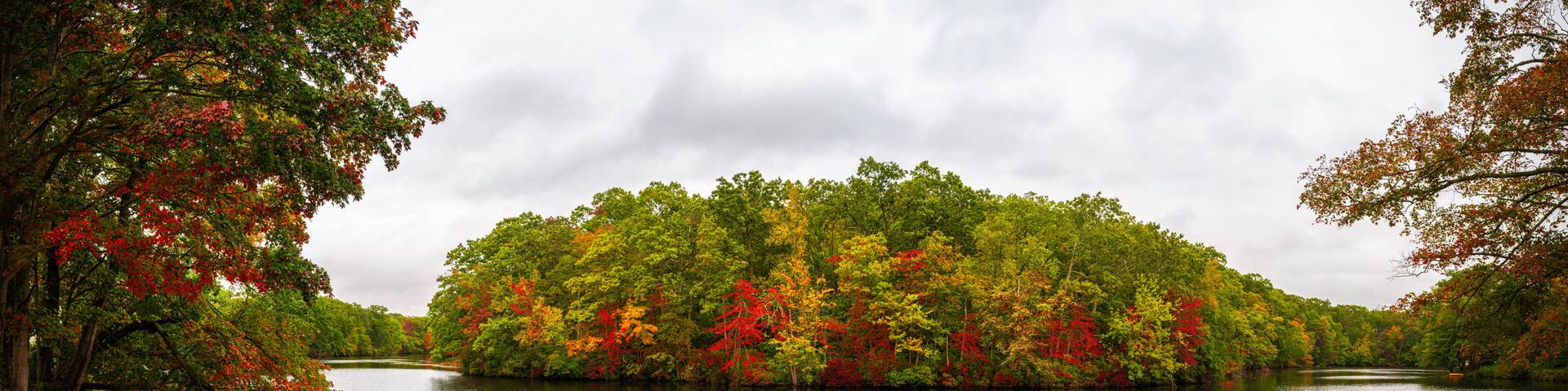 Tranquil vibrant autumn leaves and forest on the island on a cloudy day in Connecticut. Amazing lake woodland landscape in New England, USA.