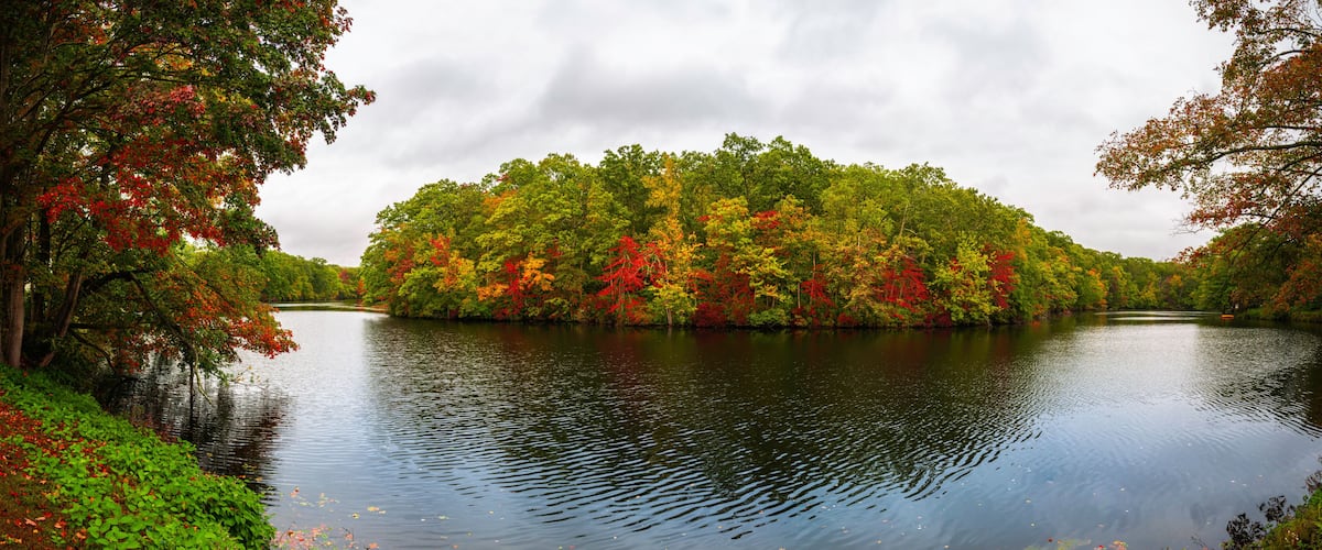 A calm lake surrounded by trees with autumn foliage.