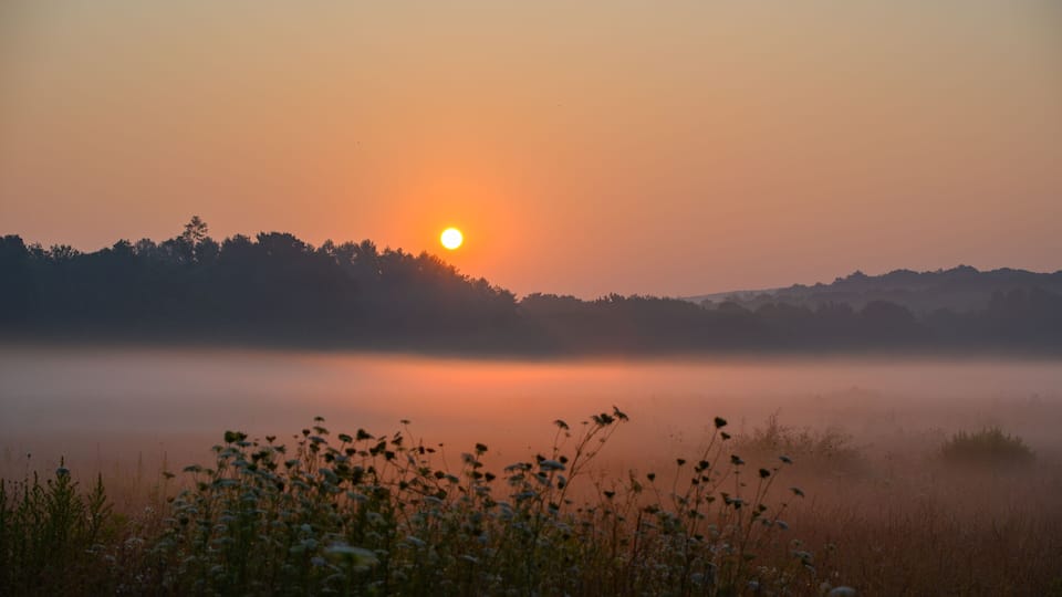A sunrise over a calm lake with mist, surrounded by a forested hill.