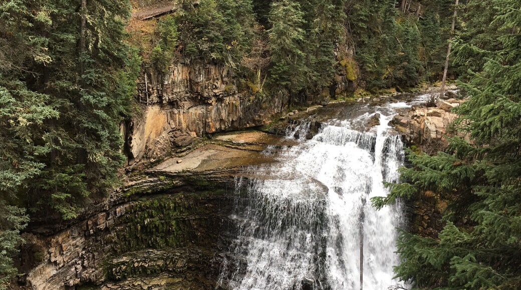 Ousel Falls Park Trail is a 1.6 mile lightly trafficked out and back trail located near Gallatin Gateway, MT that features a waterfall and is good for all skill levels.