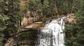 Ousel Falls Park Trail is a 1.6 mile lightly trafficked out and back trail located near Gallatin Gateway, MT that features a waterfall and is good for all skill levels.
