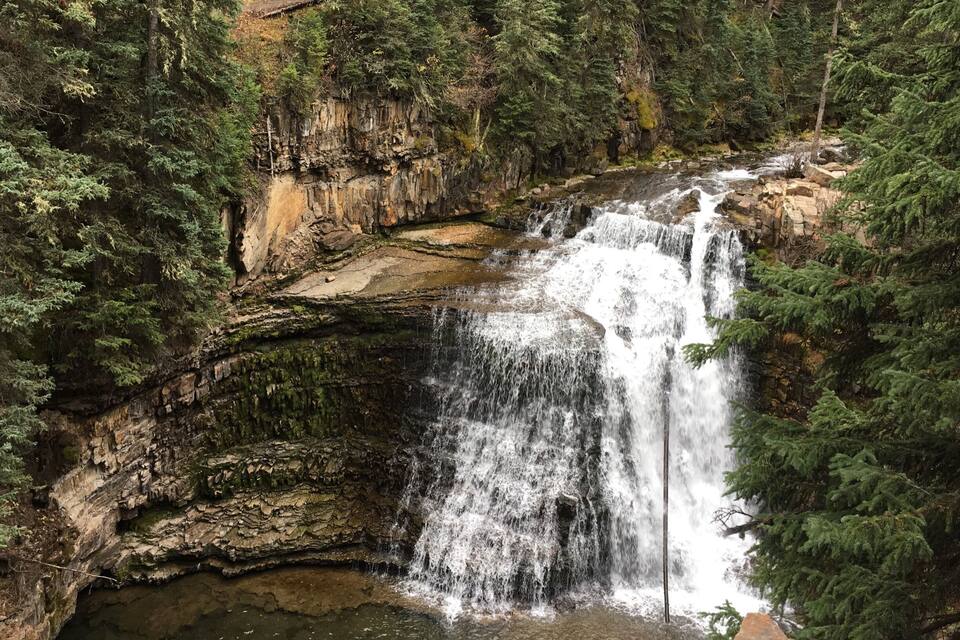 Una cascada se precipita sobre terreno rocoso rodeado de un denso bosque de coníferas.
