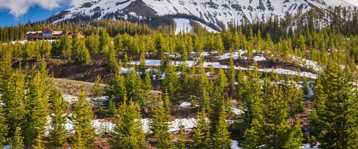 A snow-covered mountain with a cabin in the foreground and a forest of evergreen trees.