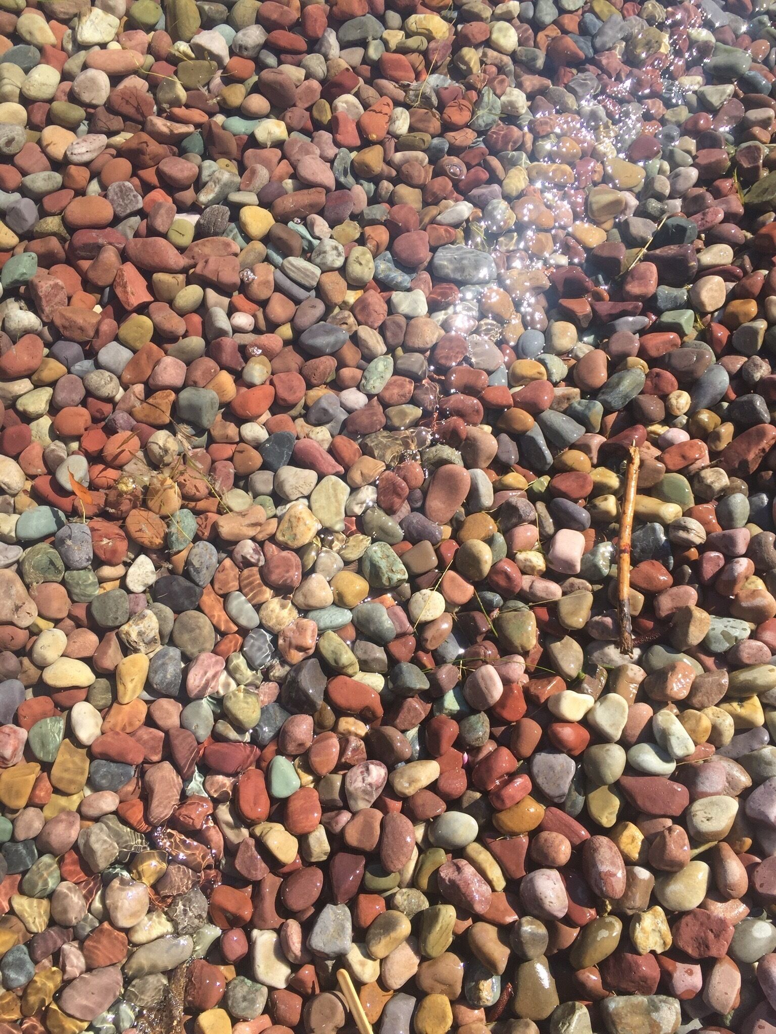 The beautifully colored pebbles on the shores of Flathead Lake can be seen right through the perfectly clear water!