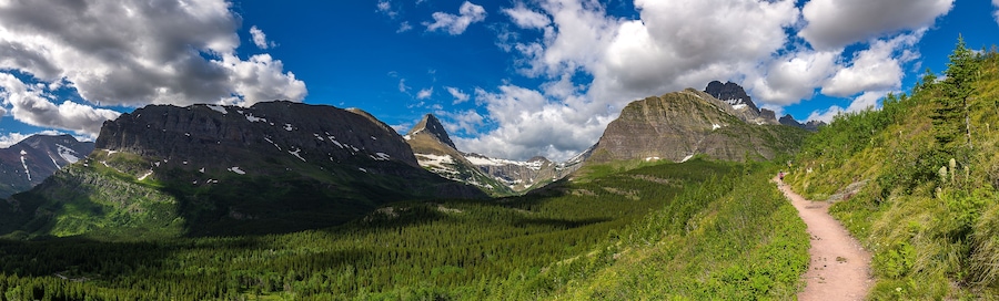 Paisaje de montaña con un sendero de tierra, bosque denso y picos nevados bajo un cielo parcialmente nublado.
