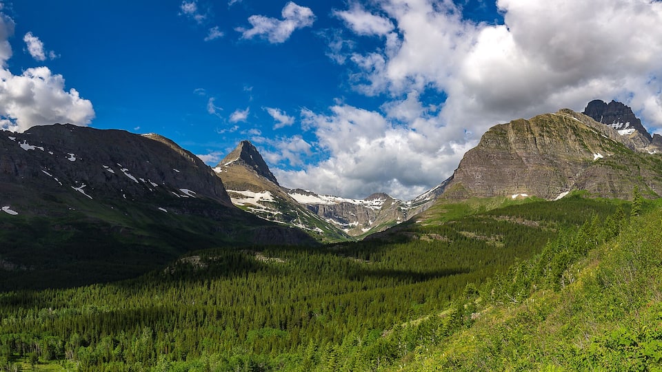 A mountain landscape with a dirt path, dense forest, and snow-capped peaks under a partly cloudy sky.