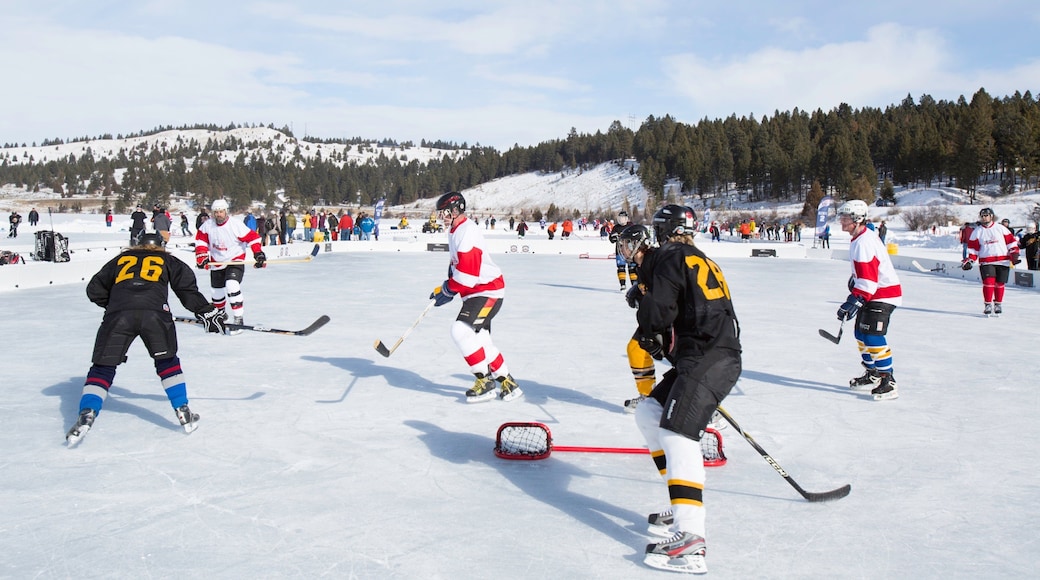 Kalispell fasiliteter samt står på skøyter