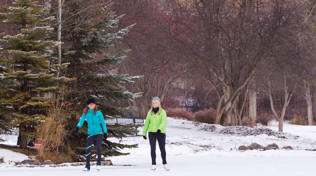Kalispell som viser står på skøyter