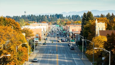 Kalispell