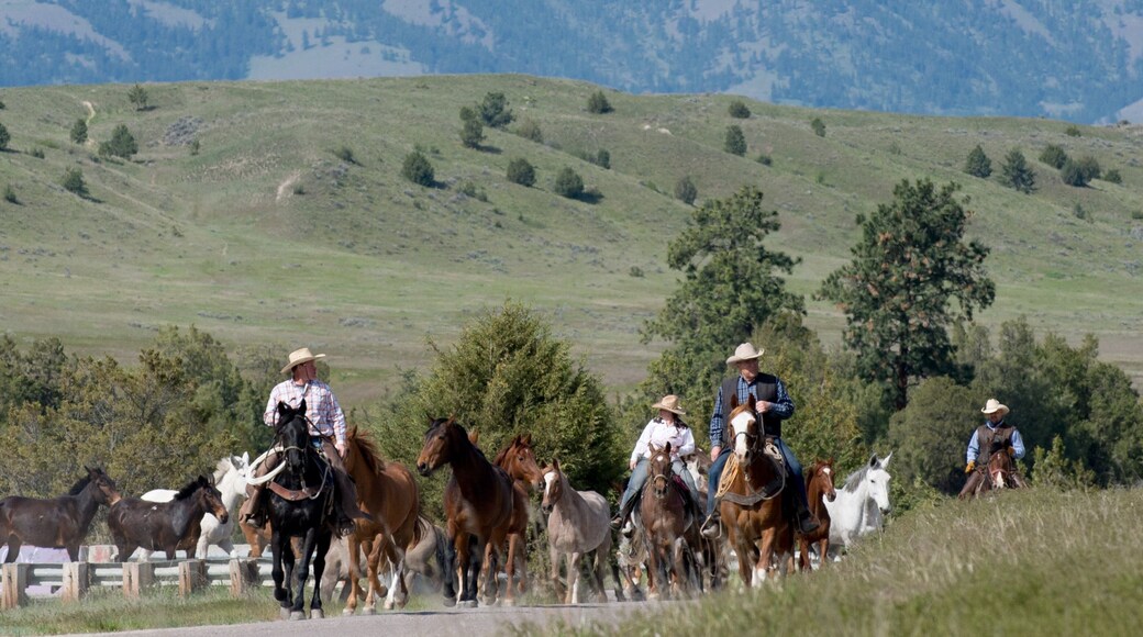 Kalispell which includes horseriding