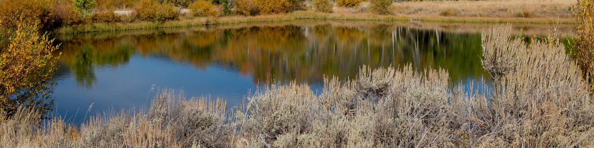 Südwest-Montana das einen See oder Wasserstelle, Waldmotive und Berge