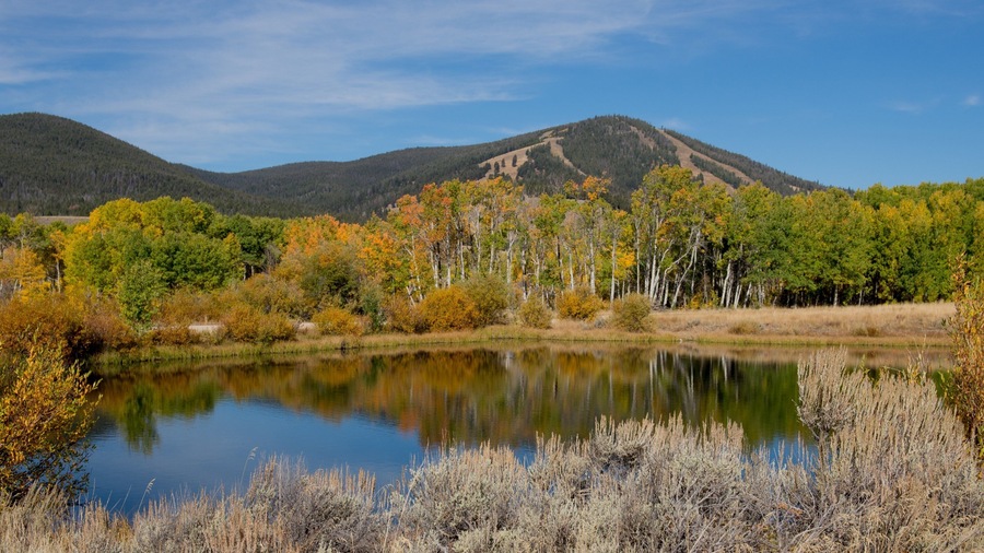 Southwest Montana featuring a lake or waterhole, mountains and forests