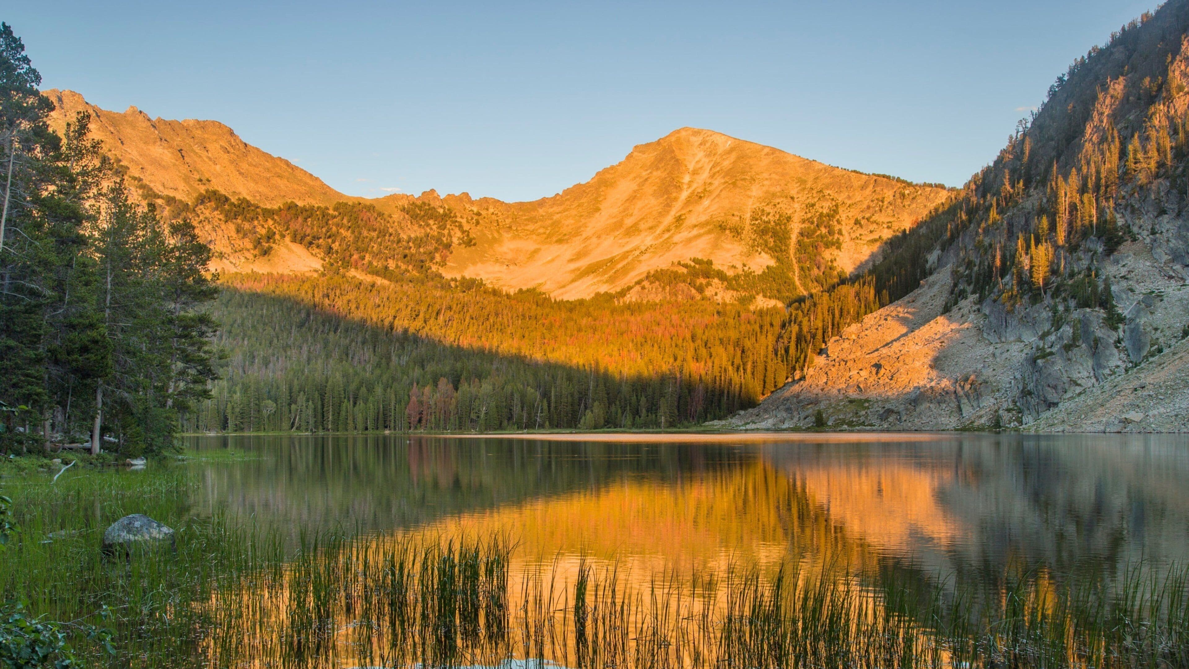 Sørvest-Montana som viser innsjø, solnedgang og skog