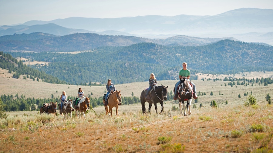 Southwest Montana which includes horseriding, mountains and forests