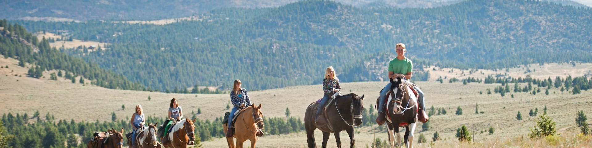 Sudoeste de Montana que inclui cavalgada, cenas de floresta e montanhas