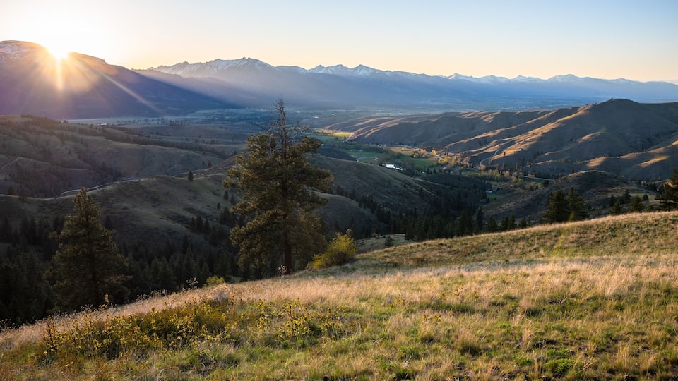 A mountainous landscape with a clear sky, a prominent tree in the foreground, and distant snow-capped peaks.