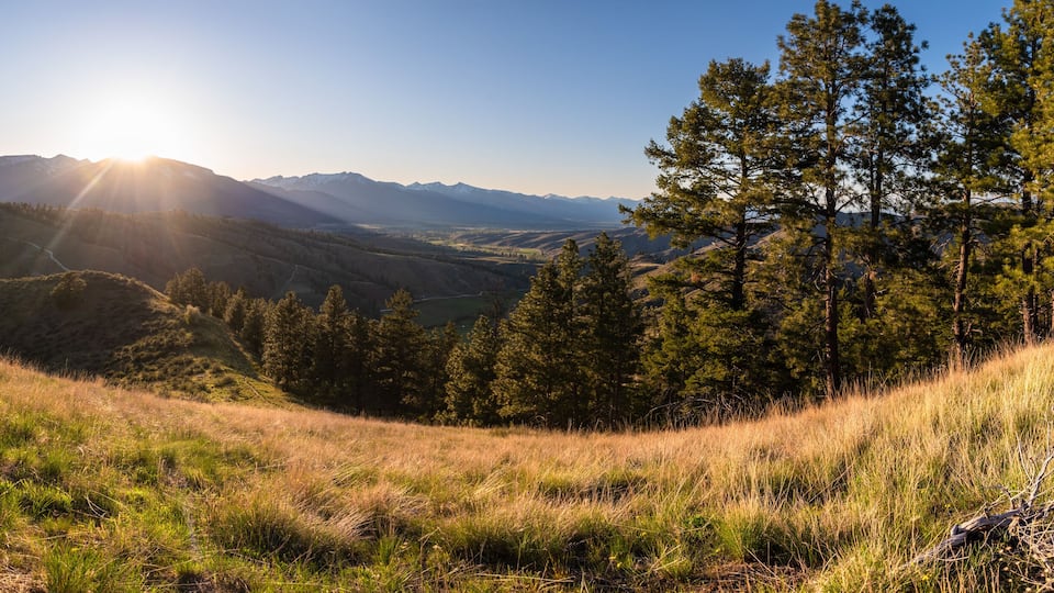 A mountainous landscape with a clear sky, a sunlit valley, and dense forests.