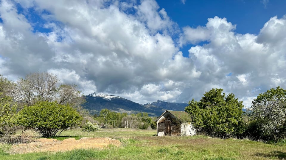 A rural landscape with a wooden cabin, green trees, and snow-capped mountains under a partly cloudy sky.