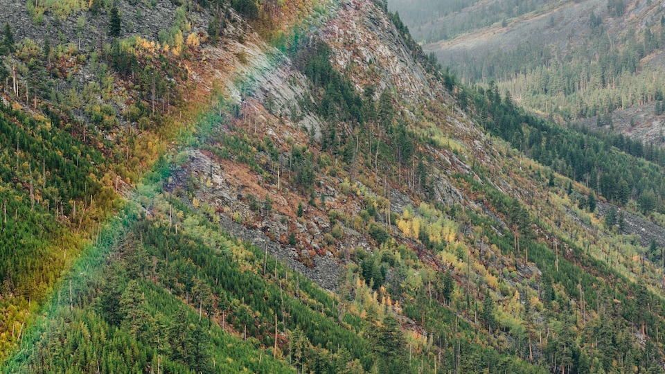 A mountain landscape with a visible rainbow, dense forest, and snow-capped peaks.