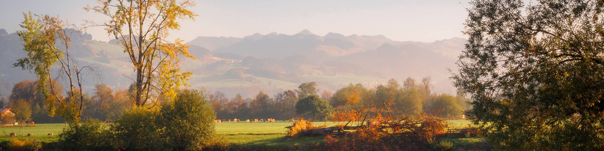 Beautiful autumn morning at the Kreutsee in Kiefersfelden