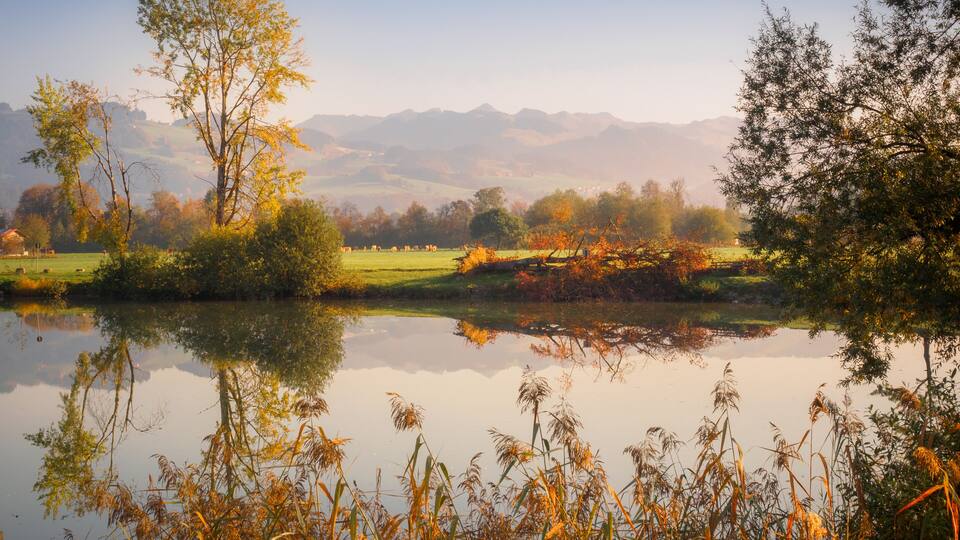 A calm lake with reflections of trees and a distant mountain range.
