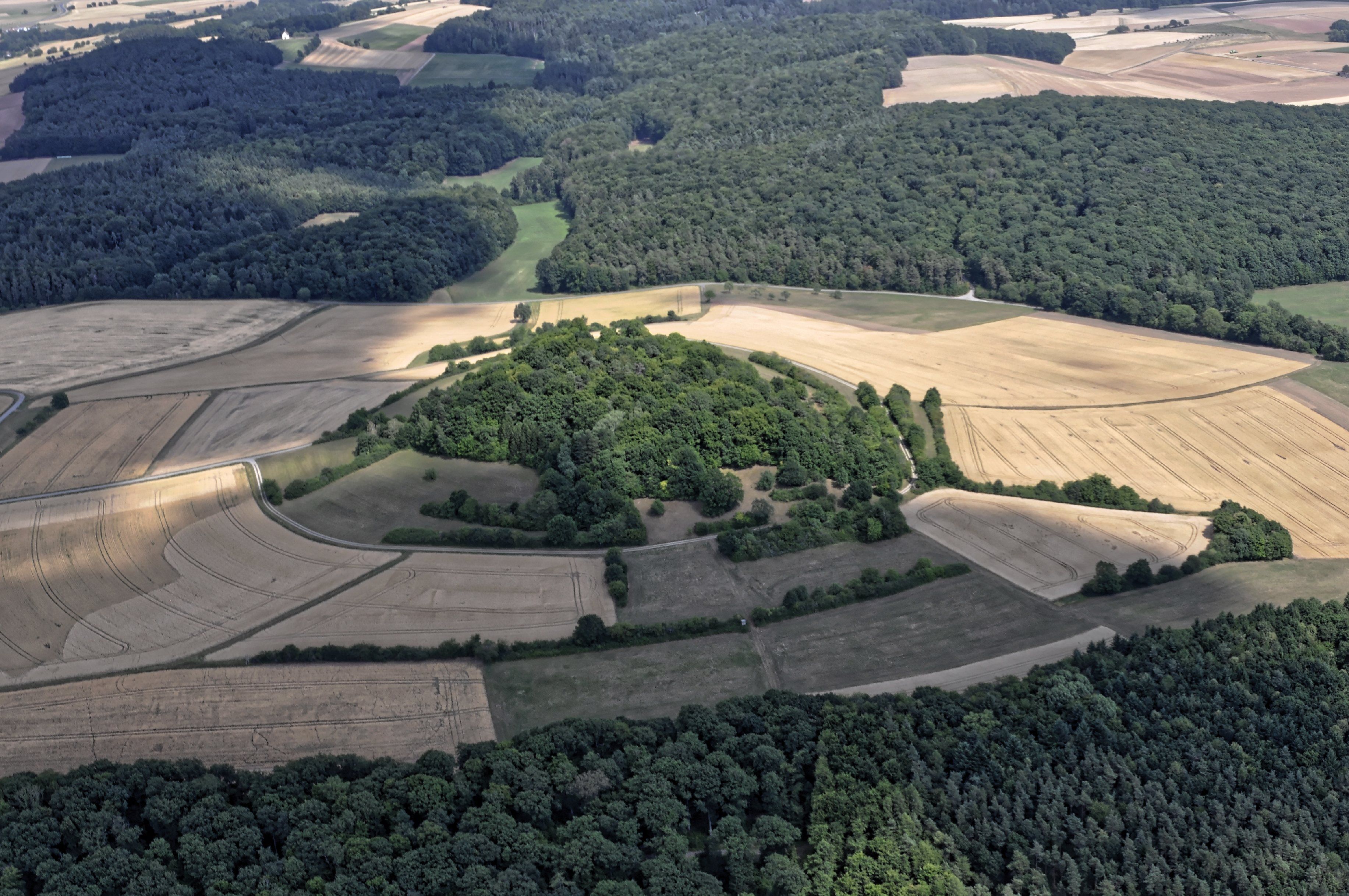 An aerial view of a forested area with a circular clearing surrounded by fields.