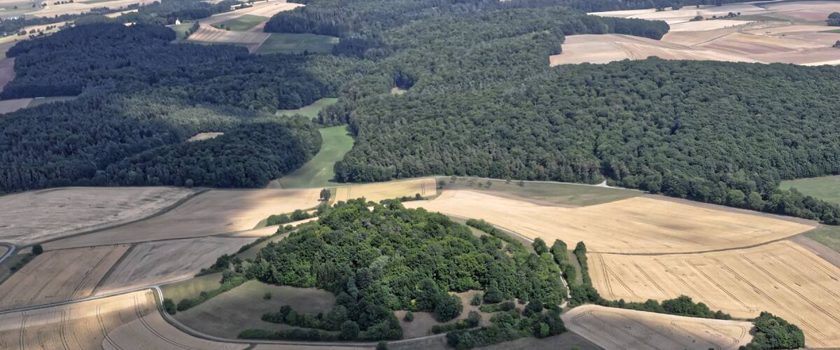 An aerial view of a forested area with a circular clearing surrounded by fields.