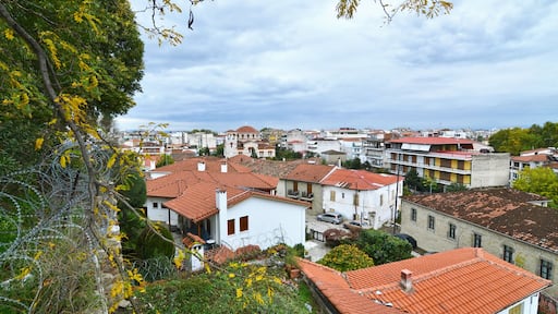 ํธ๋ฆฌ์นผ๋ผ