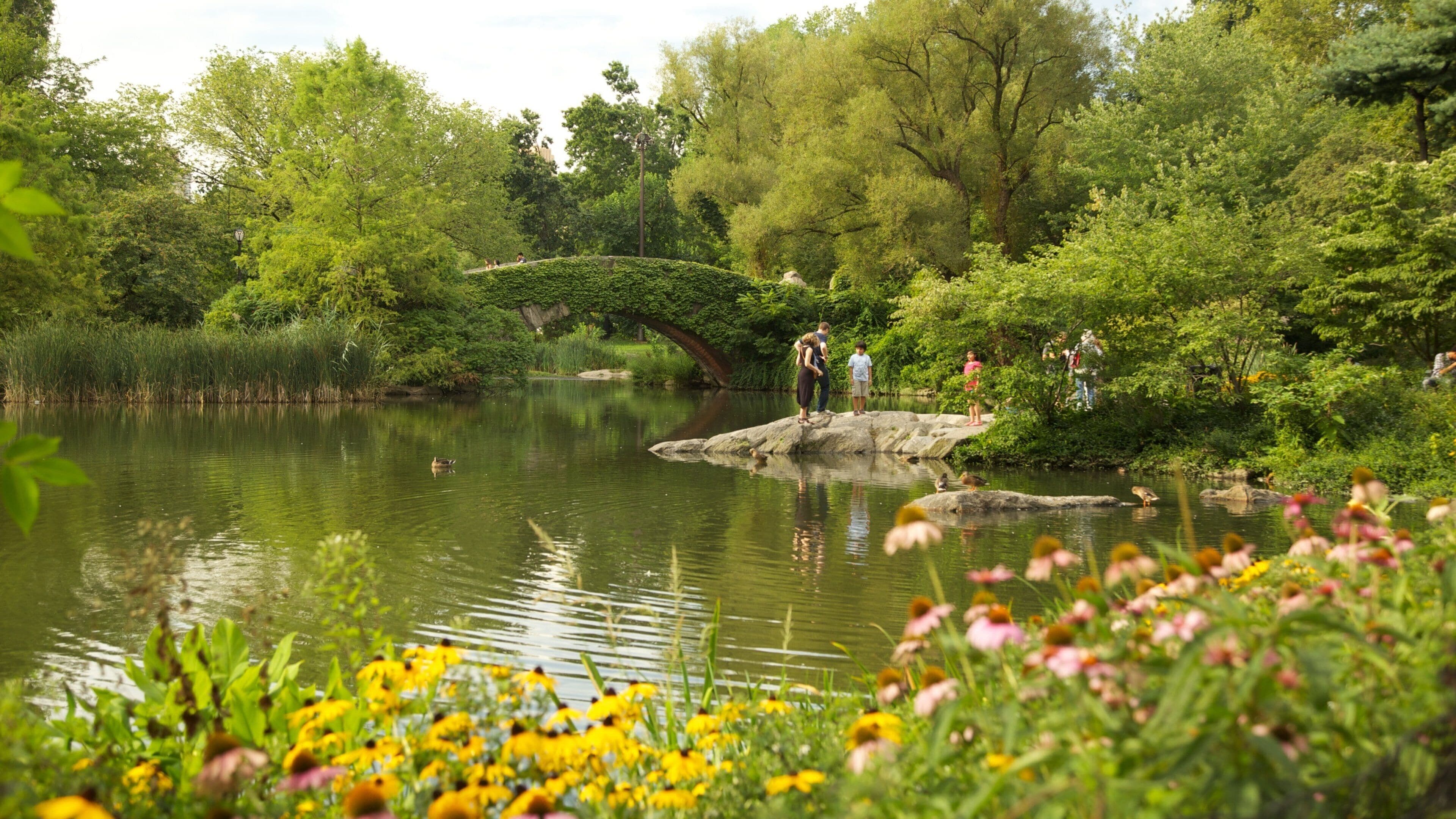 Serenity of Central Park in New York showcases lush greenery and tranquil waters on a beautiful day