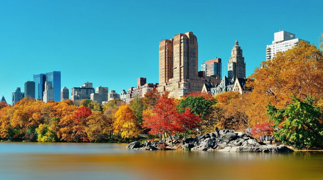 Condado de Nueva York