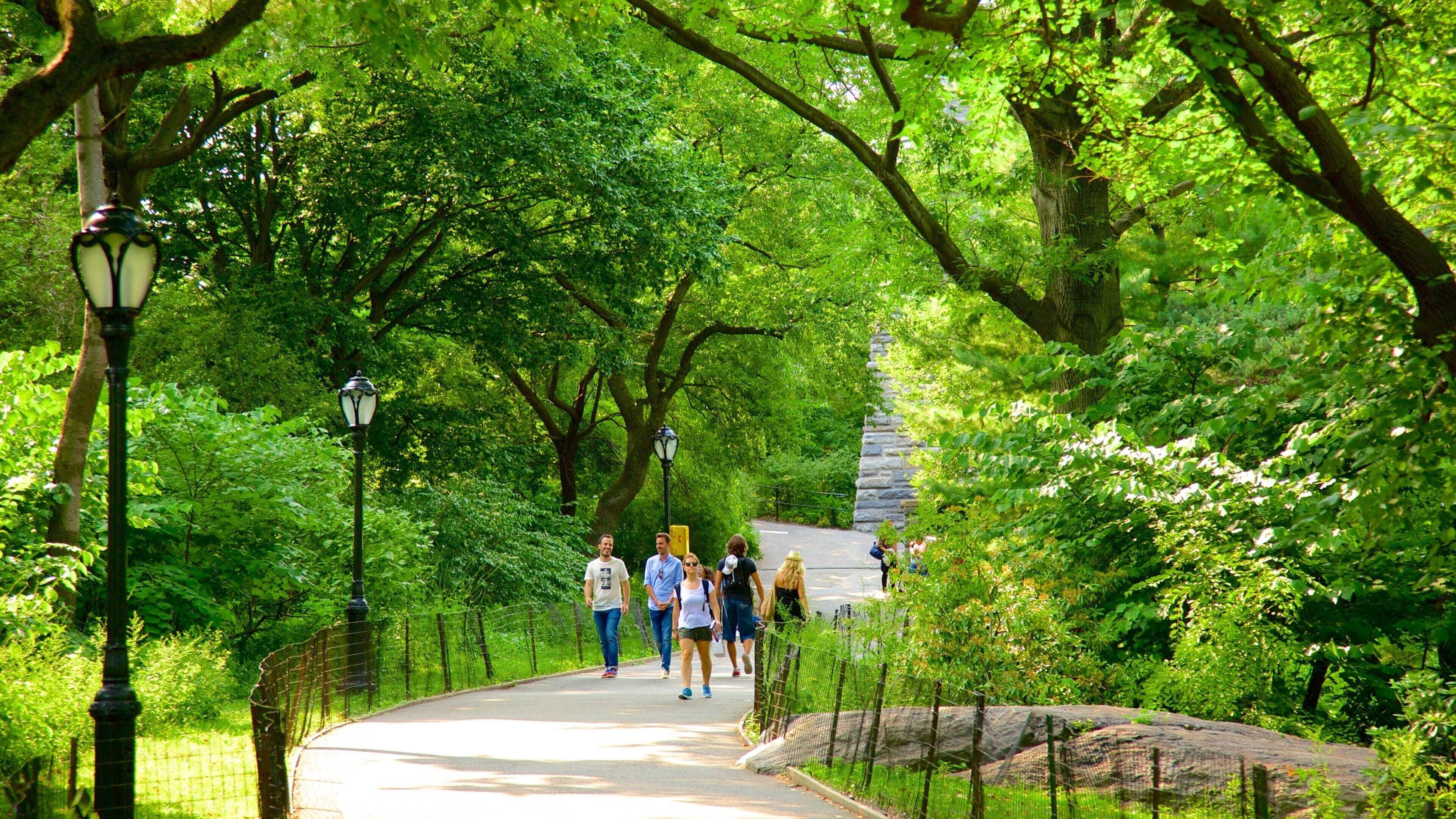 Central Park showing a garden