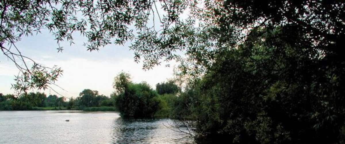 A calm river with a small boat docked on the shore, surrounded by trees.