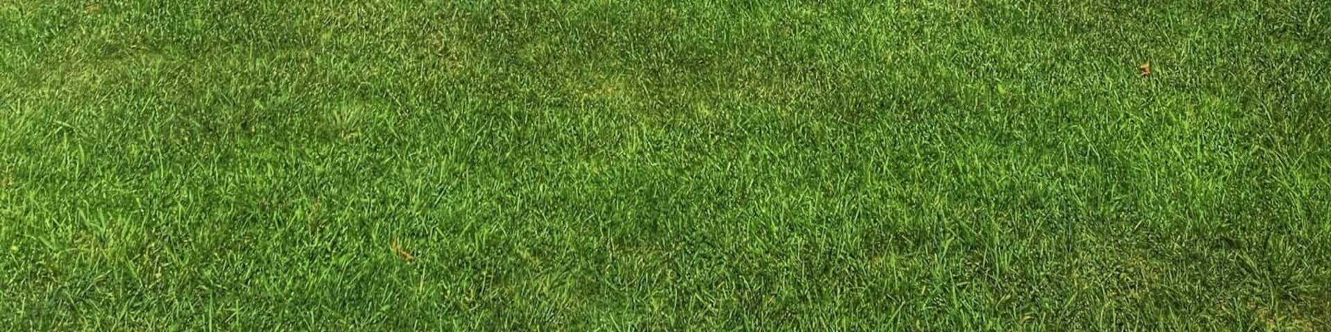 Dunkirk Light sits on the Erie Canal in New York. It is an active light. The lighthouse and museum are open to the public.