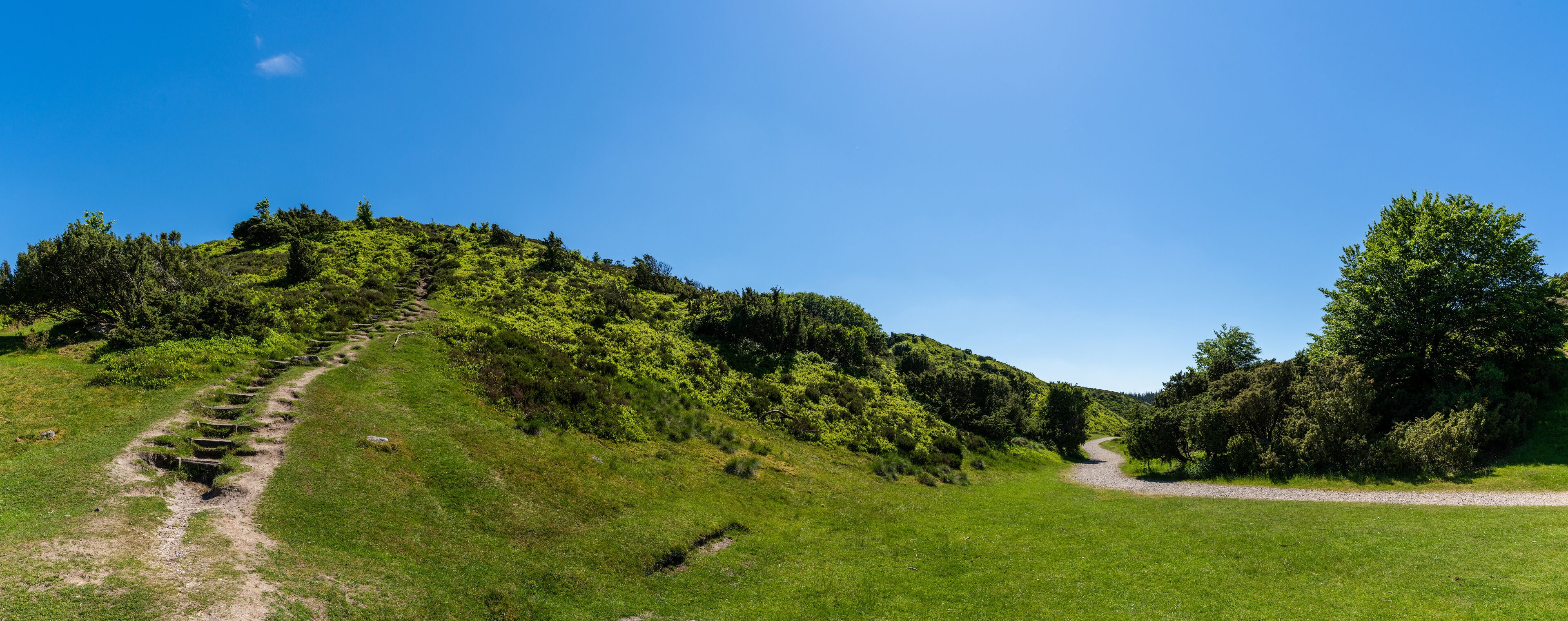panorama of a hiking trail and stair steps path leading into the heart of green heath and forest landscape