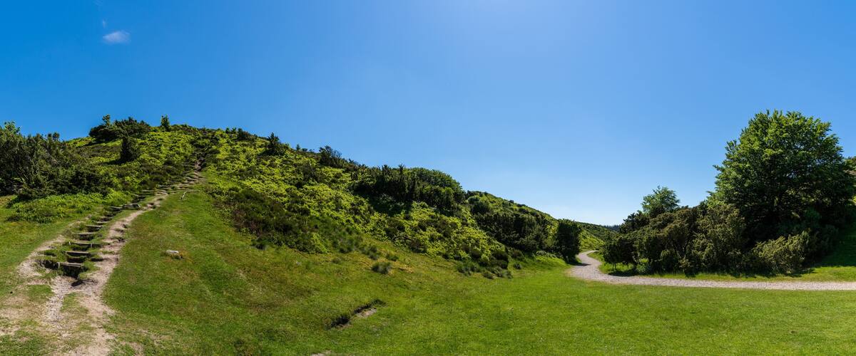 A grassy hillside with a dirt path leading up and down.