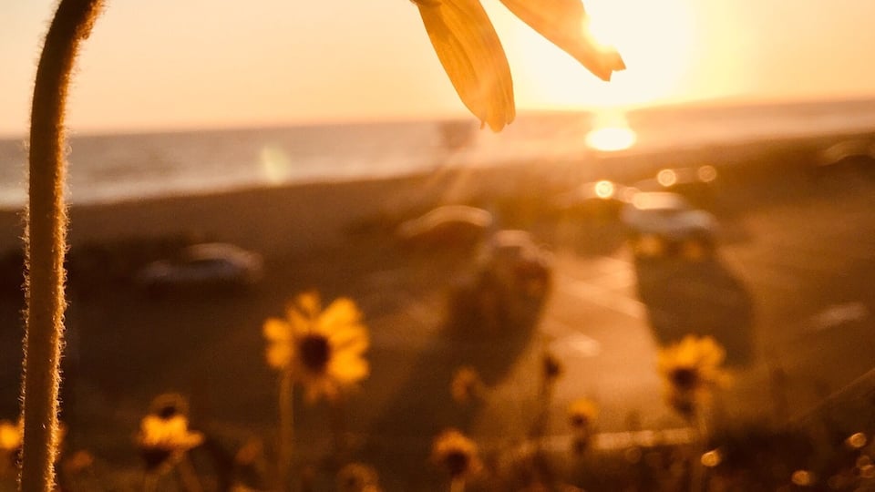 #LikeALocal
You never get tired of photographing sunsets