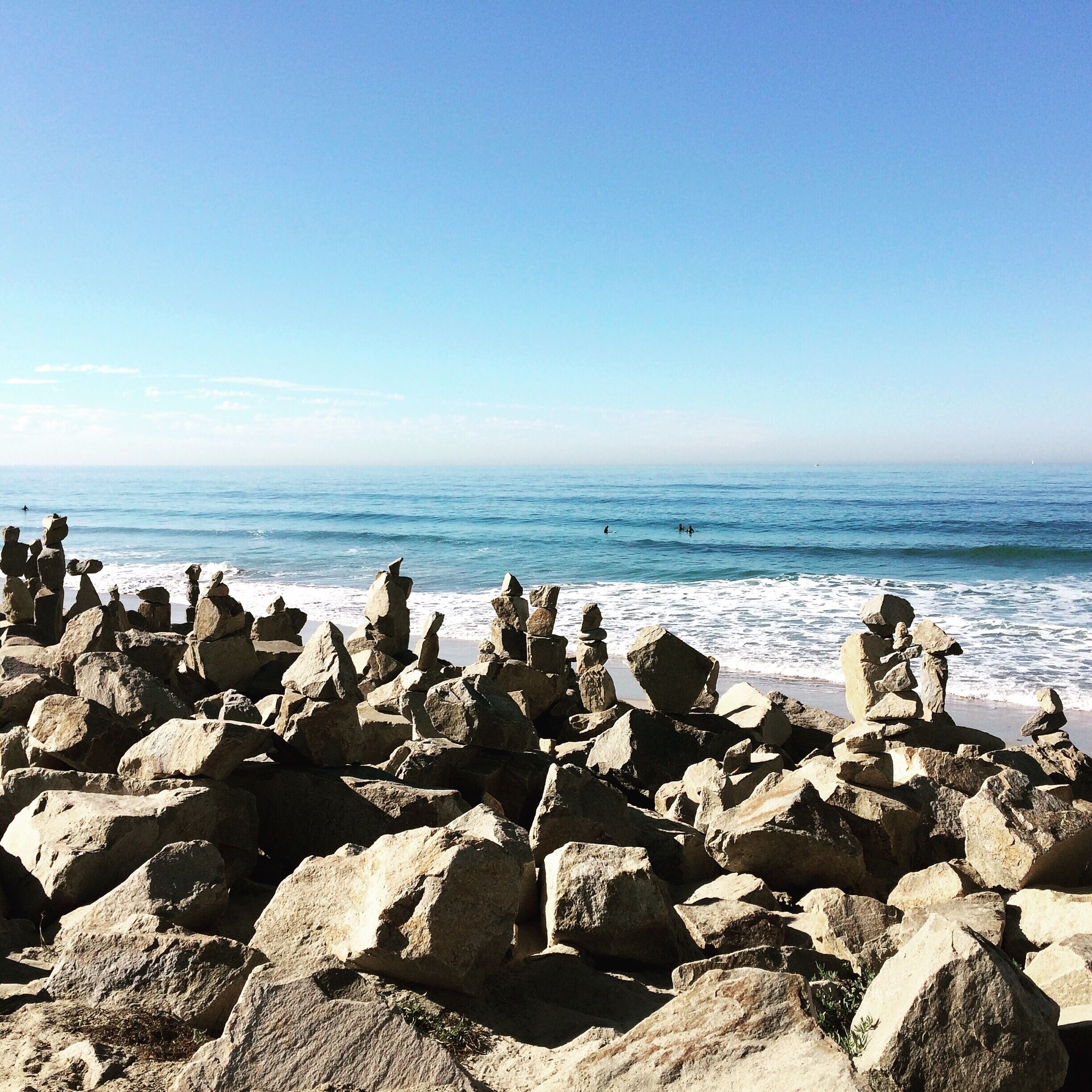 Rock garden seems to be growing