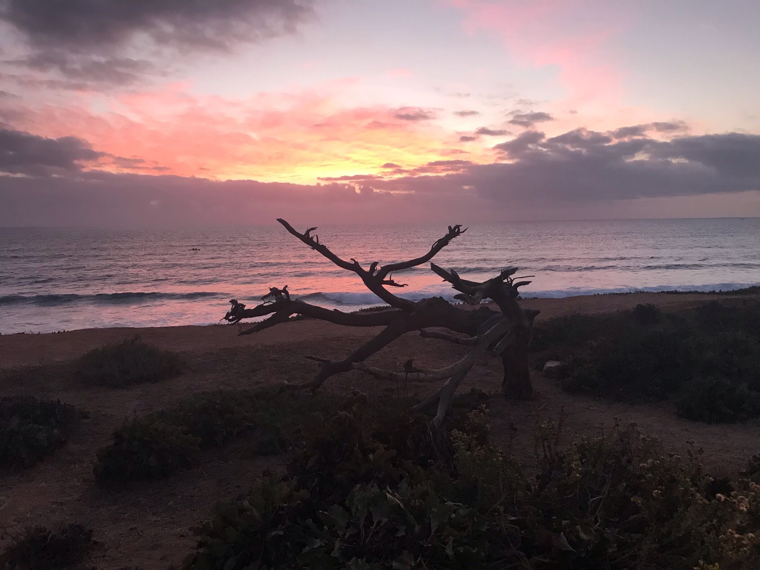 Carlsbad beach promenade