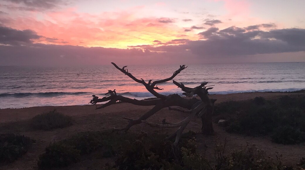 Carlsbad beach promenade