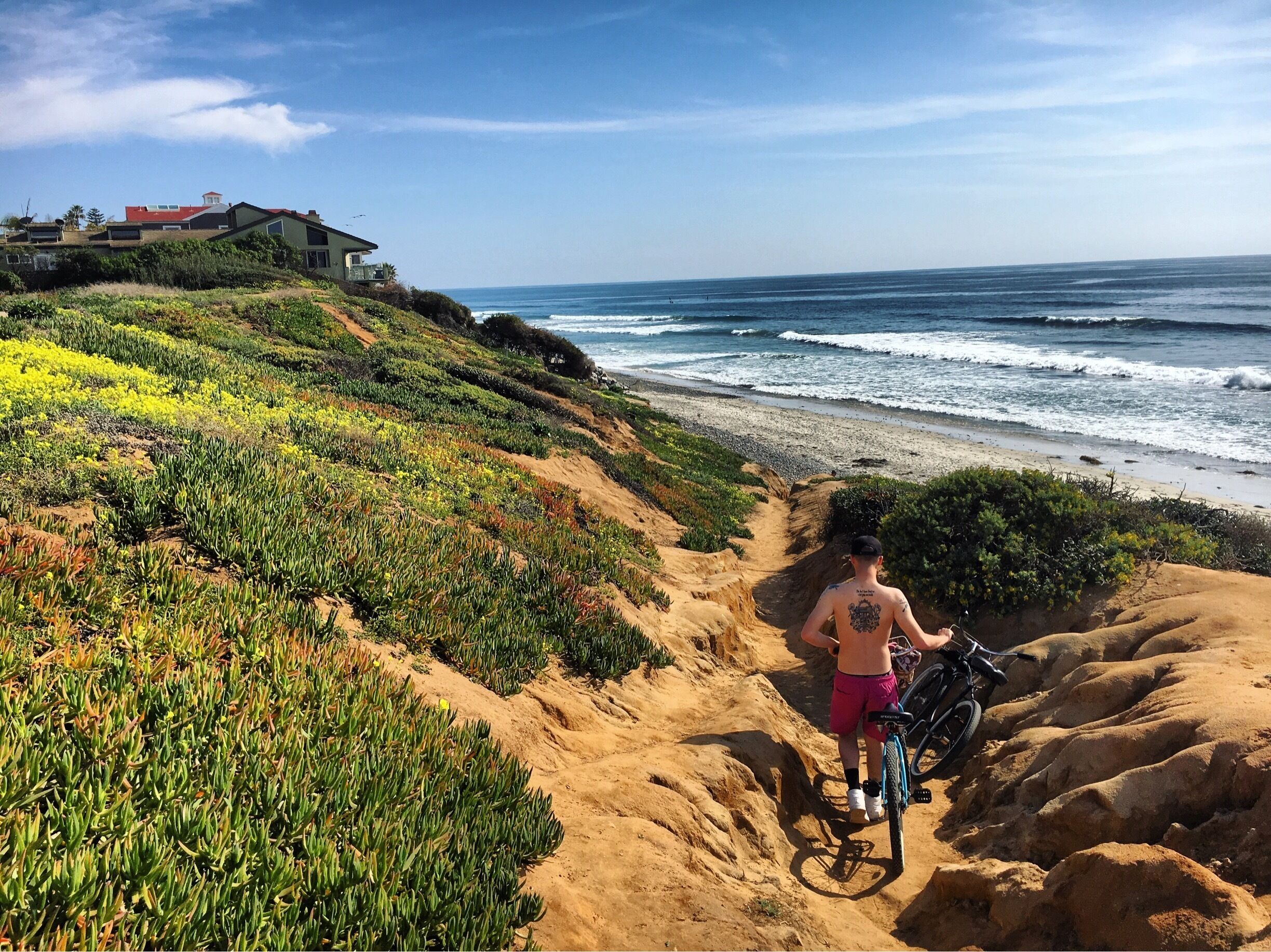 Rode bikes from a bike shop in Carlsbad to this spot! Absolutely gorgeous!
