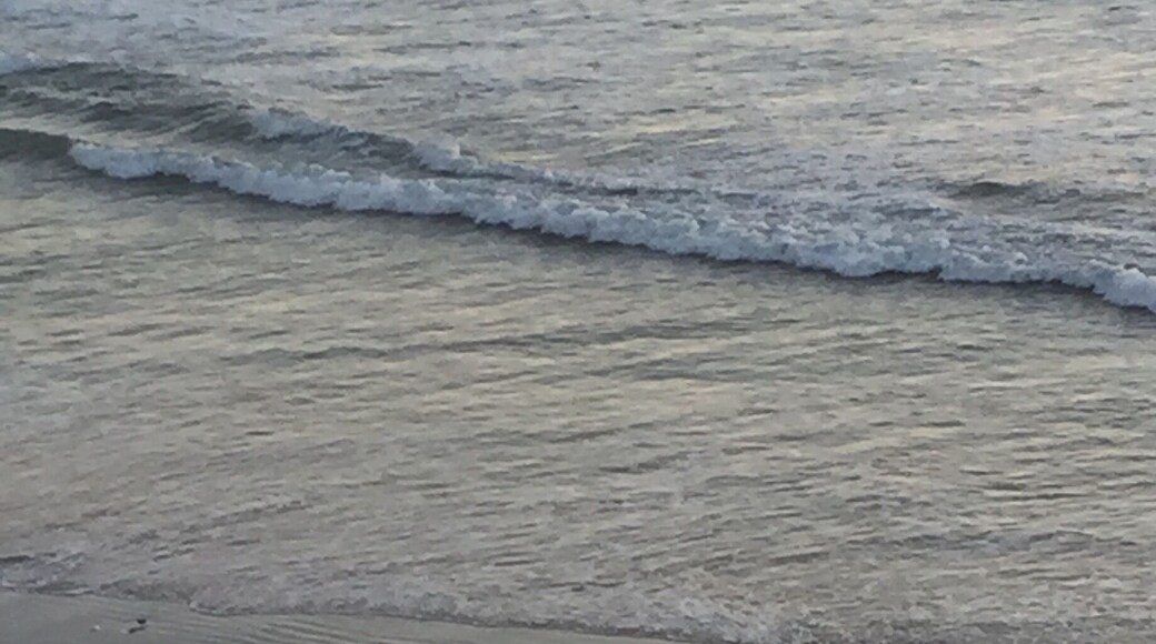 This surfer is definitely #BeachBound