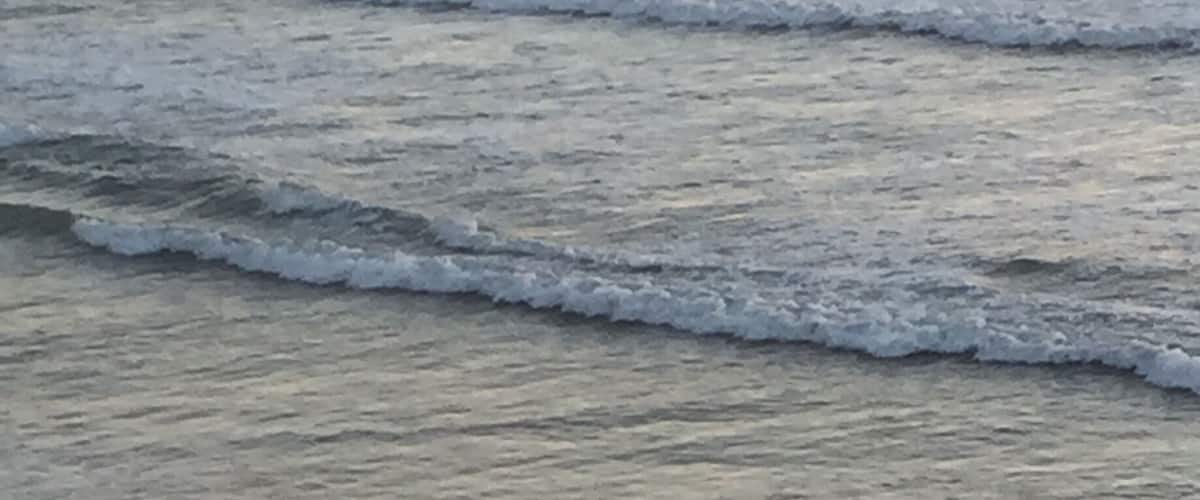 This surfer is definitely #BeachBound