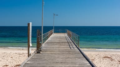 A wooden pier extending into a calm sea with clear skies.